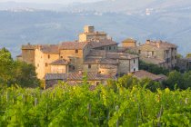 Vineyard and the medieval village of Volpaia in Tuscany, near Florence in Chianti Italy — Stock Photo