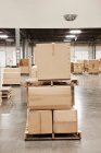 Cardboard boxes piled on pallets in warehouse. — Stock Photo