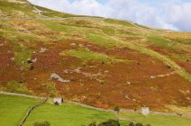 Cabañas de piedra en el paisaje rural heathery. - foto de stock