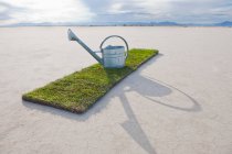 Watering can on turf patch on salt flat. — Stock Photo