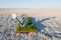 Watering can on grass turf patch on salt flat. — Stock Photo