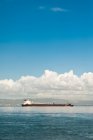 Большой контейнерный корабль на воде — стоковое фото