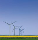Windkraftanlagen auf Feldfrüchten. — Stockfoto