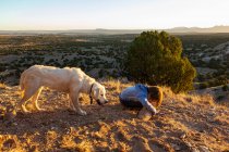 Young boy in Galisteo Basin at sunset with his English Cream Golden Retreiver — Stock Photo