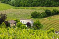 Haus und Weinberg in der Region Bordeaux in der Nähe von St. Emilion — Stockfoto