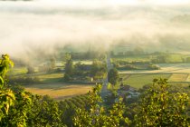 Strada e nebbia mattutina, Dordogna, Castello di Castelnaud, Dordogna, Aquitania, Francia — Foto stock