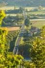 Straße und Morgennebel, Dordogne, Chateau de Castelnaud, Dordogne, Aquitanien, Frankreich — Stockfoto