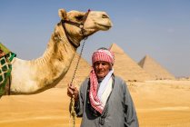 Tres pirámides, monumentos y tumbas funerarias de los faraones Khufu, Khafre y Menkaure, un guía turístico que sostiene un camello - foto de stock