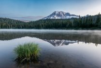 Згадка гори Райньє в Reflection Lake in Mount Rainier National Park на світанку. — стокове фото