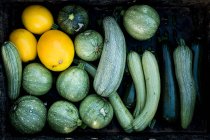 High angle close up of freshly picked yellow and green courgettes. — Stock Photo