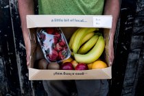 Primer plano de la persona que sostiene una caja de frutas y verduras orgánicas con una selección de productos frescos. - foto de stock