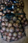 Hohe Nahaufnahme von Netzen aus frisch gepflückten Zwiebeln. — Stockfoto