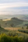 Countryside view, vineyards in Tuscany — Stock Photo