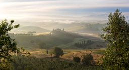 Vue sur la campagne, vignobles en Toscane — Photo de stock