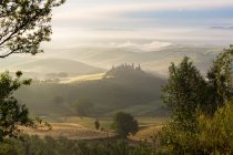Vue sur la campagne, vignobles en Toscane — Photo de stock