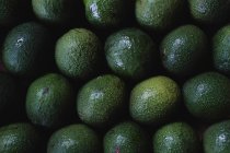 Високий кут крупним планом свіжовибраних авокадо . — стокове фото