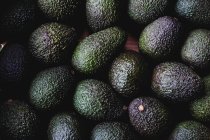 High angle close up of freshly picked avocados. — Stock Photo