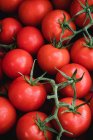 Alto ángulo de cerca de tomates recién recogidos en la vid. - foto de stock