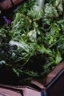 Высокий угол сближения свежесобранных листьев зеленого салата. — стоковое фото