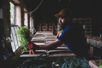 Bauer steht im Hofladen und packt Obst- und Gemüsekisten. — Stockfoto