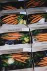 Alto ángulo de cierre de cajas de verduras y frutas con racimos de zanahorias y plátanos recién recogidos. - foto de stock