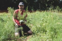 Fermier agenouillé dans un champ, souriant à la caméra, tenant le fenouil fraîchement cueilli. — Photo de stock