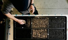 Person sowing seeds in shallow seed trays, view from above — Stock Photo