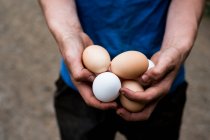 Крупним планом людина тримає коричневі та білі яйця . — стокове фото
