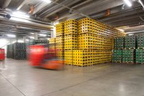 Warehouse and distribution centre for goods, pallets, lifting equipment and racking. Shrink wrapped cartons and boxes of beer for transport. Rolling bench — Foto stock