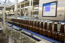 Beer bottling plant with moving belts, rows of bottles, automated process, capping and labeling and placing in crates — Foto stock