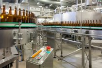 Beer bottling plant with moving belts, rows of bottles, automated process, capping and labeling and placing in crates — Photo de stock