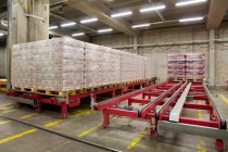 Warehouse and distribution centre for goods, platforms and pallets, lifting equipment and racking. Shrink wrapped cartons — Stock Photo