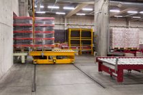 Warehouse and distribution centre for goods, platforms and pallets, lifting equipment and racking. Shrink wrapped cartons — Fotografia de Stock