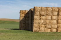 Большая стопка тюков сена в сельхозугодицах — стоковое фото