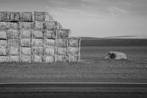 Large stack of hay bales, black and white — Stock Photo