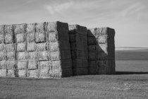 Large stack of hay bales, black and white — Foto stock