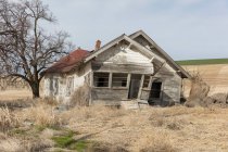 Abandoned homestead in a rural landscape, falling down — Fotografia de Stock