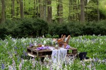 Rustikaler Picknicktisch mit Essen auf einer Frühlingswiese für eine Waldbenennungszeremonie. — Stockfoto