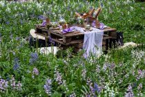 Tavolo da picnic rustico con cibo in un prato primaverile per una cerimonia di denominazione del bosco. — Foto stock