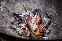 Avvicinamento dei marshmallow arrostiti sopra un pozzo di fuoco — Foto stock