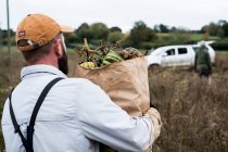 Bauer läuft auf einem Feld und trägt eine Papiertüte mit frisch gepflückten Kürbissen. — Stockfoto