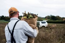 Bauer läuft auf einem Feld und trägt eine Papiertüte mit frisch gepflückten Kürbissen. — Stockfoto