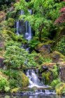 Portland Japonês Jardim cachoeira. — Fotografia de Stock