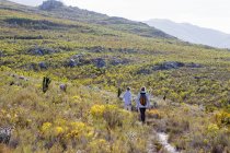 Caminhadas em família uma trilha natural, Reserva Natural Phillipskop, Stanford, África do Sul. — Fotografia de Stock
