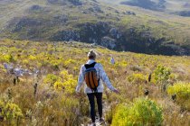 Woman hiking a nature trail, Phillipskop nature reserve, Stanford, África do Sul. — Fotografia de Stock