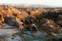 Adolescente ragazza e suo fratello chinarsi su una piscina rocciosa tra rocce frastagliate al tramonto, De Kelders, Western Cape, Sud Africa. — Foto stock