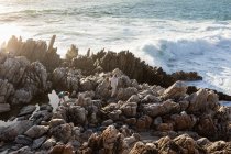 Two children exploring the jagged rocks and rock pools on the Atlantic Ocean coastline, De Kelders, Western Cape, South Africa. — Stock Photo