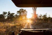 Safari-Fahrzeug bei Sonnenaufgang, Okavango Delta, Botswana. — Stockfoto