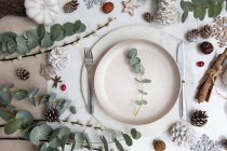 Decoraciones navideñas sobre fondo blanco, hojas verdes y bayas rojas - foto de stock