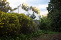 Cape Dutch Haus und Garten bei Sonnenaufgang — Stockfoto